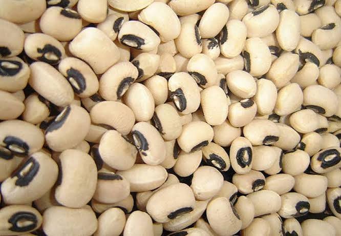 FRIJOL BLANCO