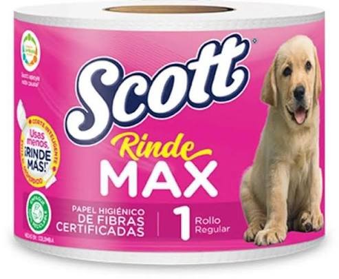 PAPEL SCOTT