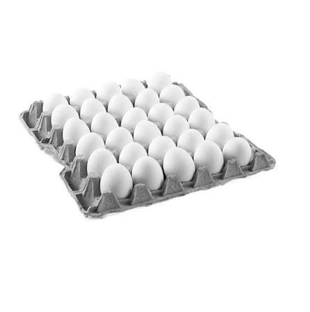 HUEVO BLANCO