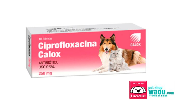 Ciprofloxacina