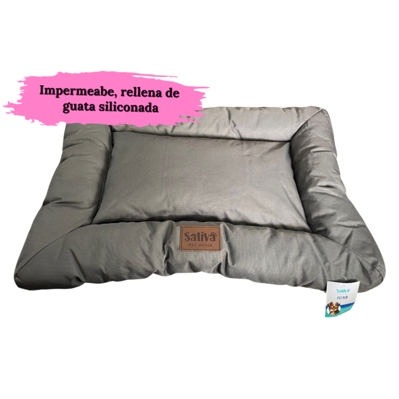 Cama sativa 60 x 40