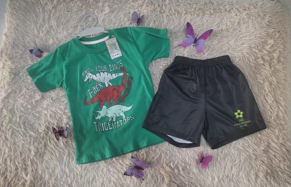 30. CONJUNTO DINO