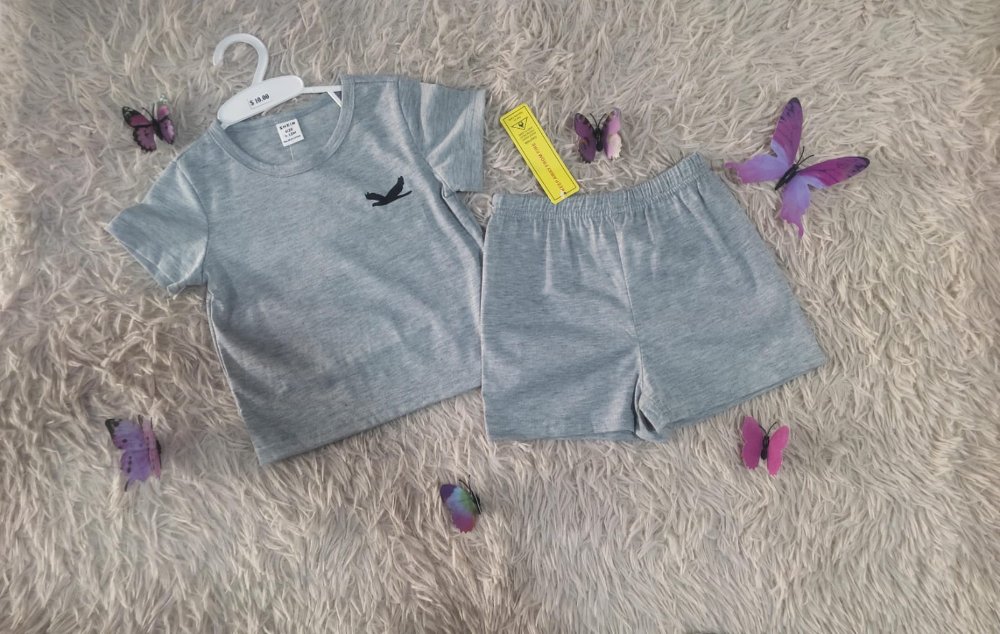 24. CONJUNTO GRIS
