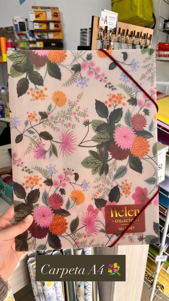 CARPETA IBI 3 SOL/HELEN