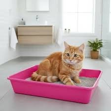 Bandeja sanitaria Gato mediana