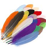 plumas x unidad