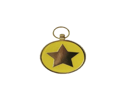 Placa Medalla Estrella Amarilla