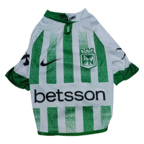 Camisas de equipo de futbool