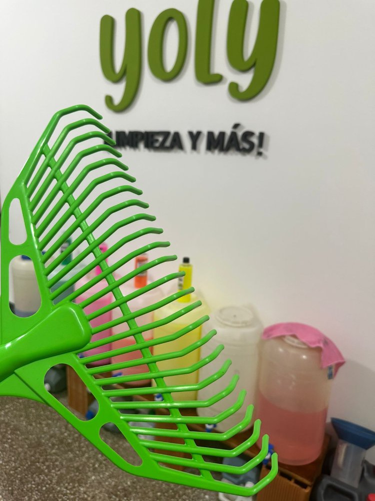 Barre hojas plástico