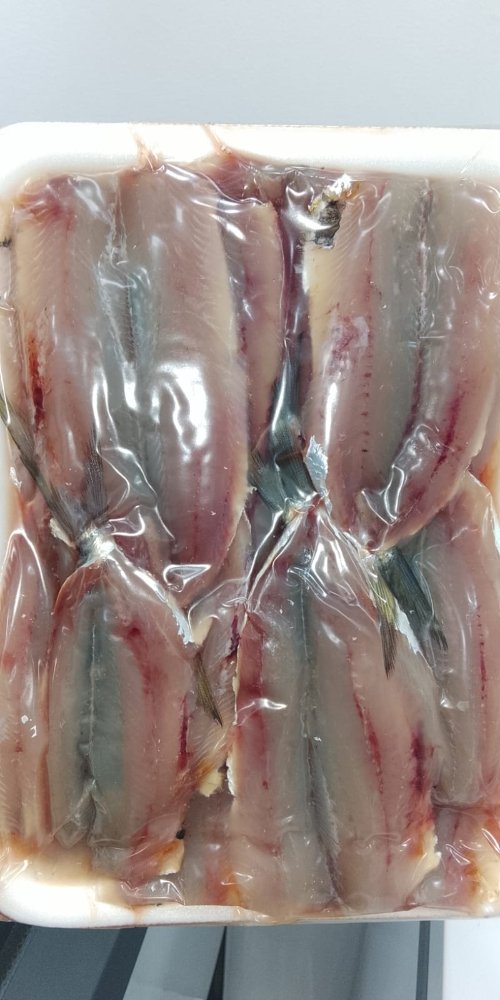 Filé de Sardinha a Bandeija c/ 500gr