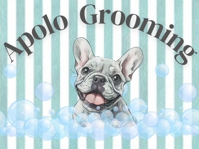 Apolo Grooming