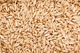 Alpiste Avena