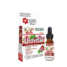 Escencia Urovital
