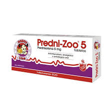 Predni Zoo  5