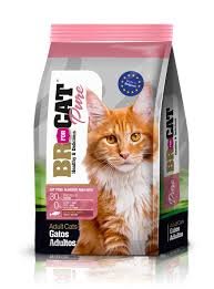 Br For Cat Gatos Adultos Salmon 3.0 KL
