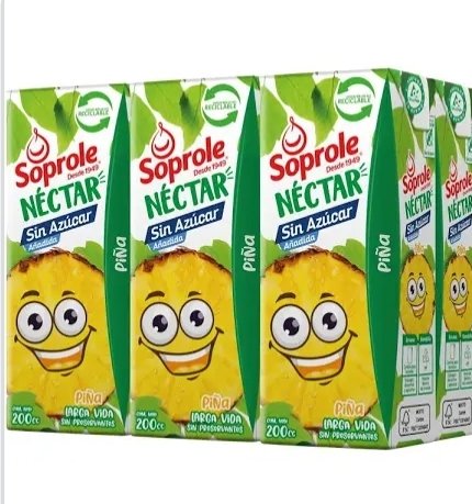 NECTAR PIÑA SOPROLE 200CC