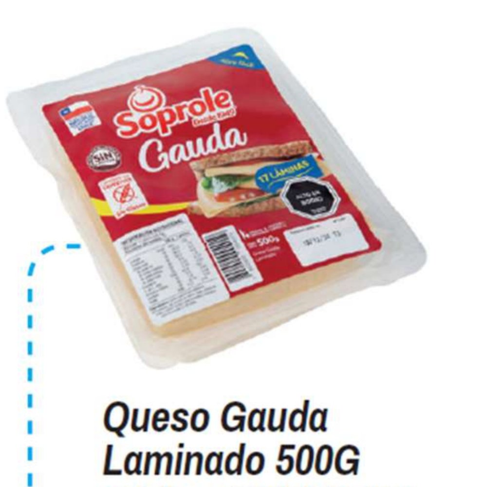 QUESO LAMINADO GAUDA 500GR