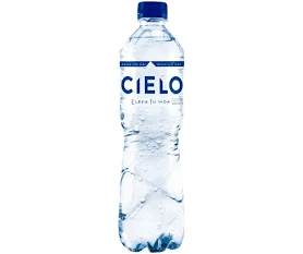 AGUA CIELO 600ML