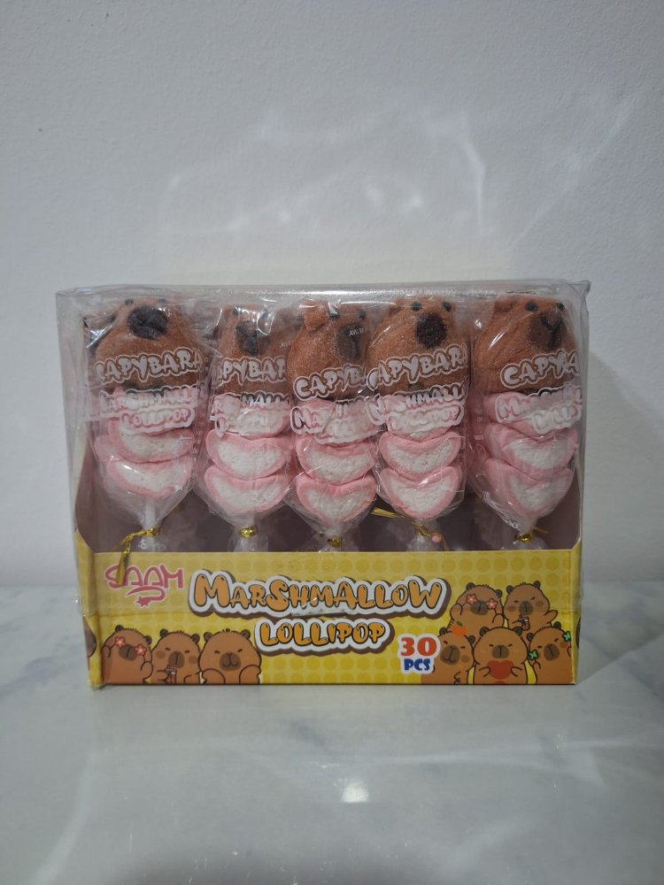 Malvavisco capibara exhibición