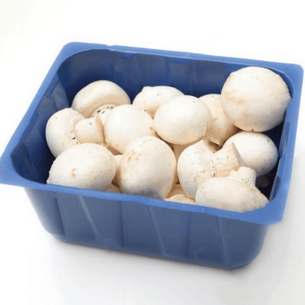 Champiñon
