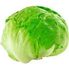 Lechuga escarola