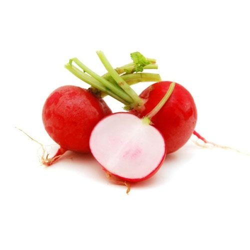 Rabanos