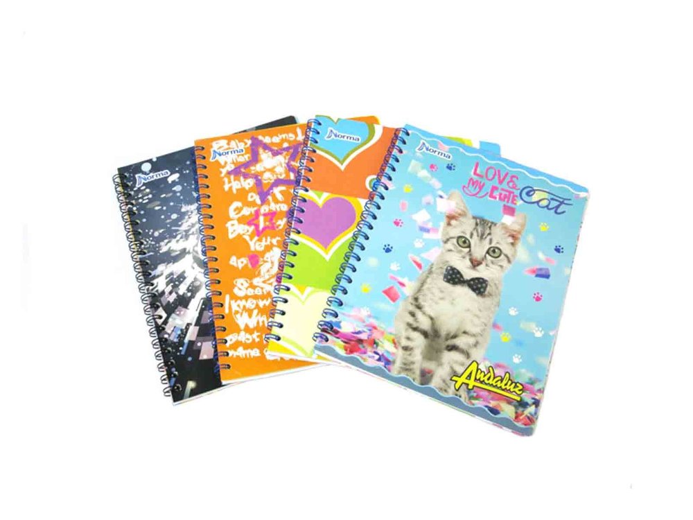 CUADERNO NORMA ACAD 60 H 4 LINEAS