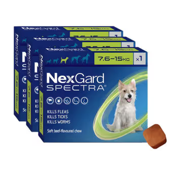 NEXGARD Spectra 7 - 15 Kg | 3 COMP