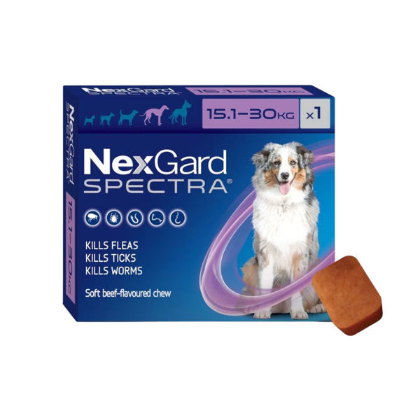 NEXGARD Spectra 15 - 30 Kg | 3 COMP