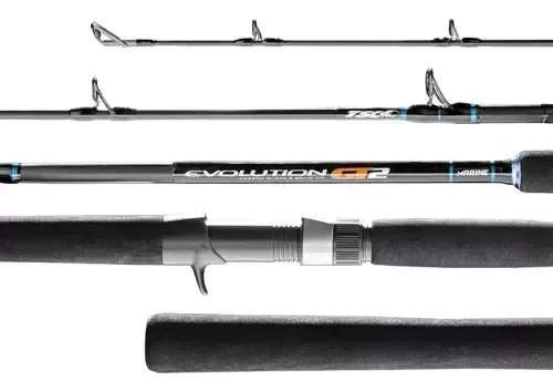 Caña Evolution GT2 MOL-S601MH 20-50 lb (1.83)