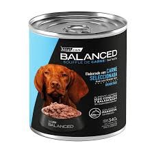 Balanced Soufflé Carne Dog Adult 340 gr