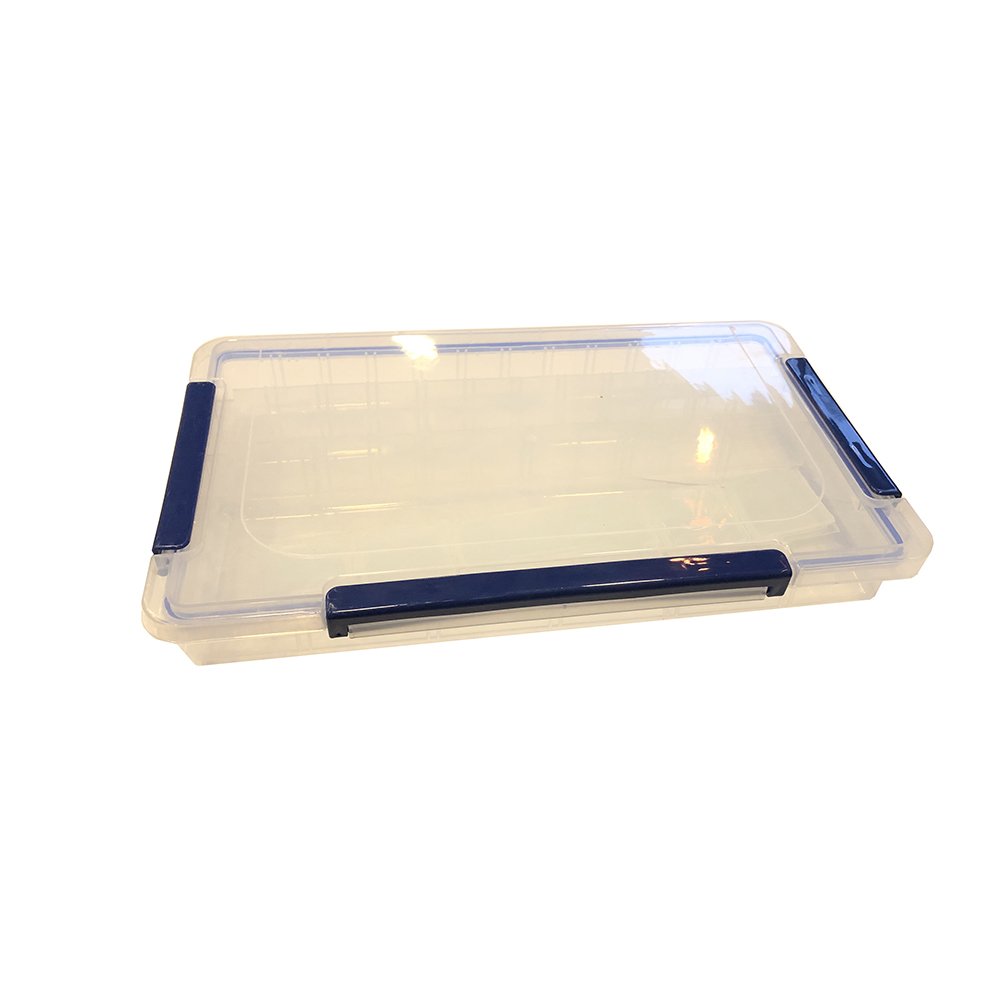 Caja Organizador 35*22 cm c/Azul