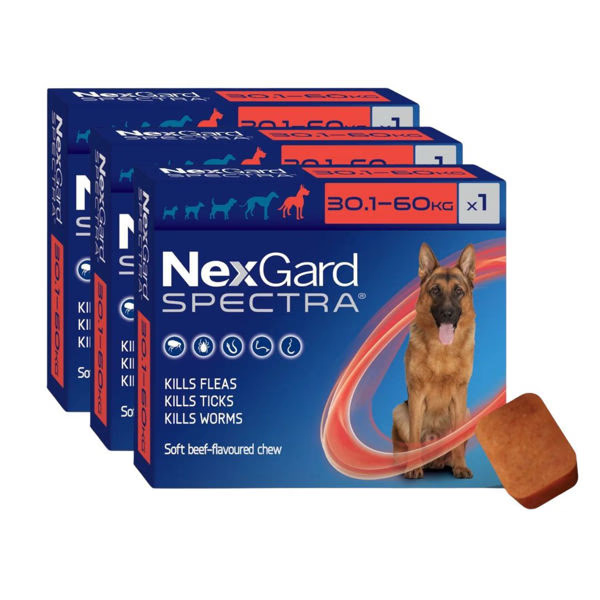 NEXGARD Spectra 30 - 60 Kg | 3 COMP