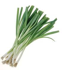 cebolla Larga