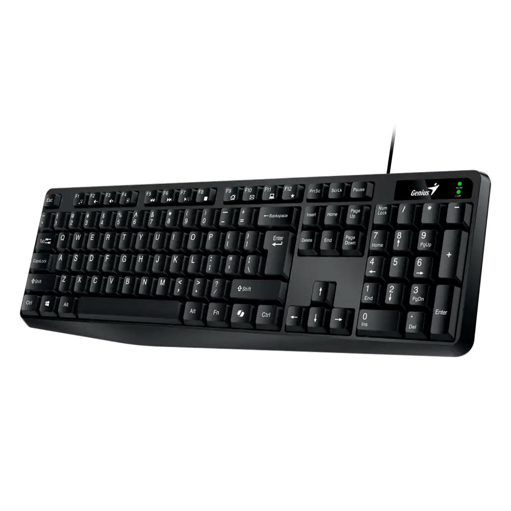 TECLADO GENIUS KB 117