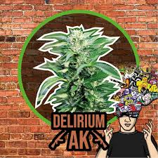 Delirium AK Fem - DeliriumSeeds (Packs: X1)