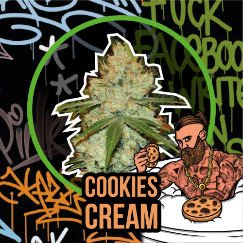 Cookies Cream Auto - DeliriumSeeds (Packs: X1)