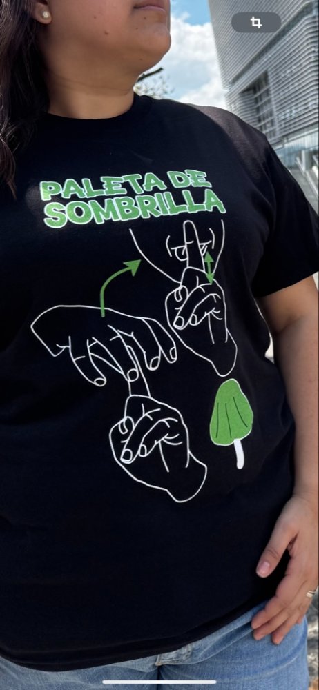 Camisa - Paletas