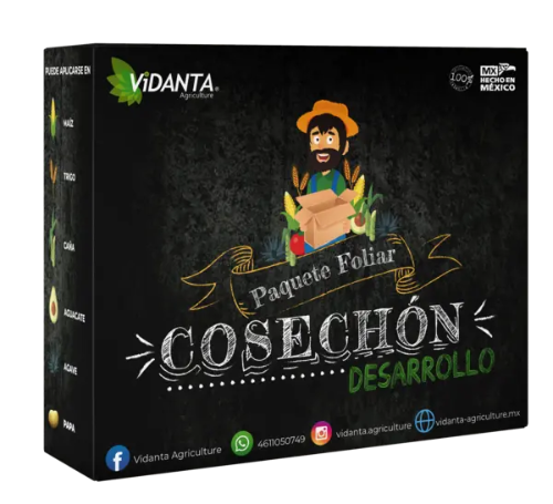 Cosechon desarrollo Vidanta