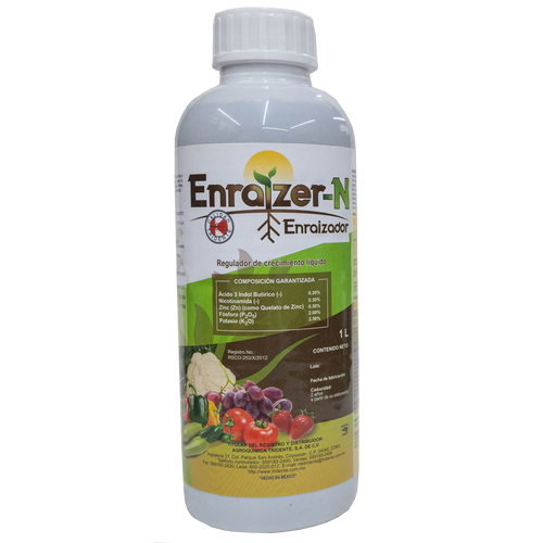 Enraizer N