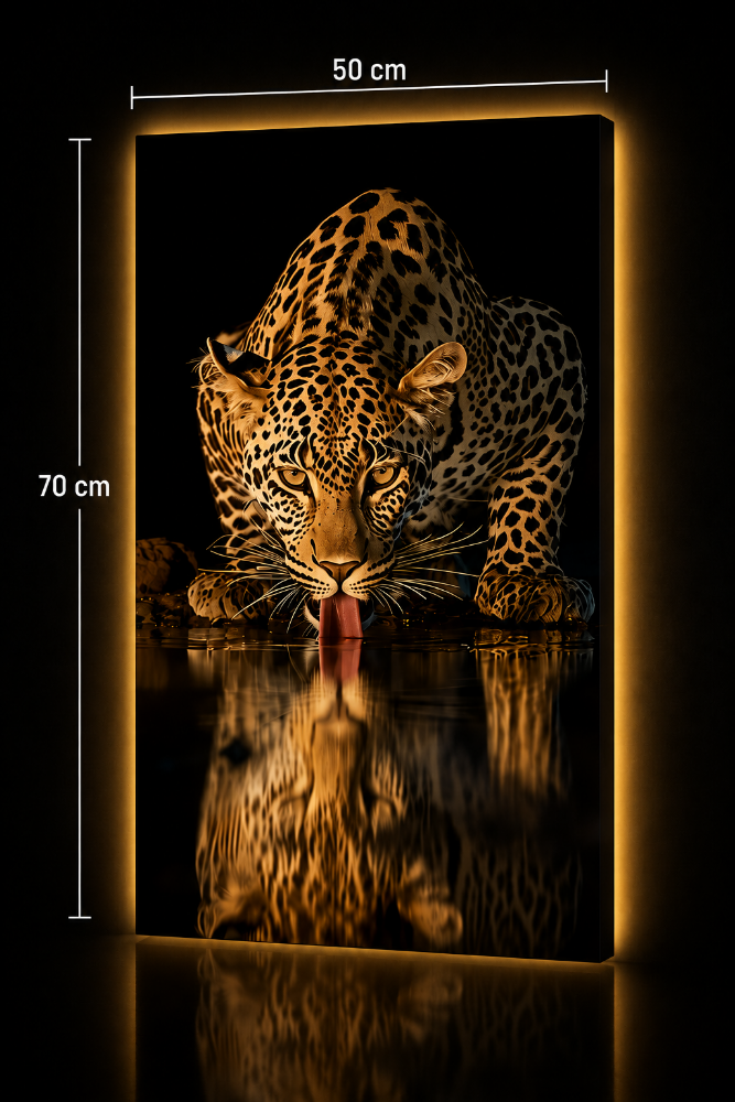 50X70