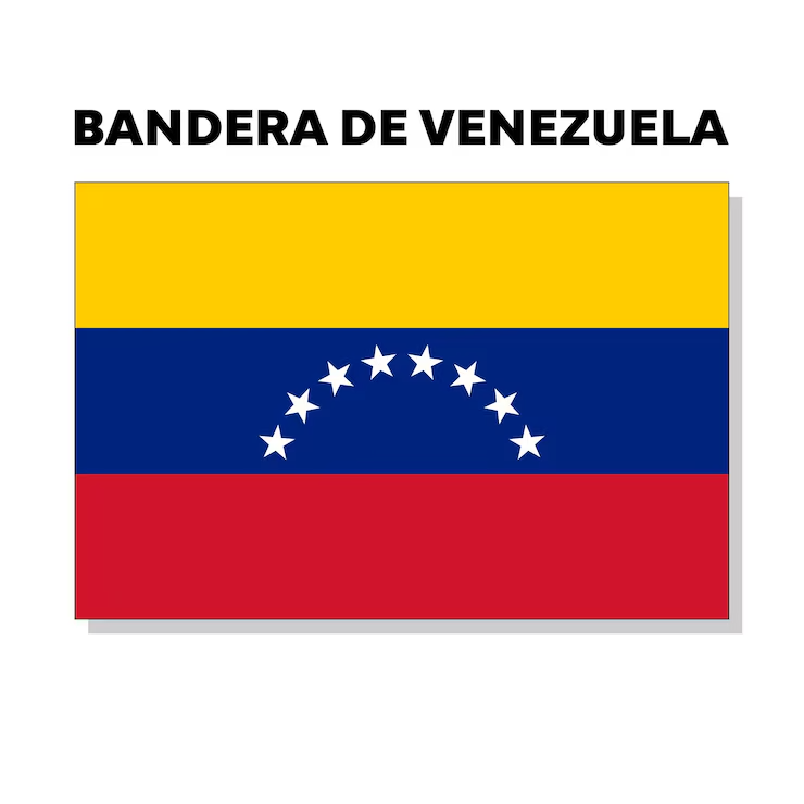 Bandera Lisa Tamaño Carta
