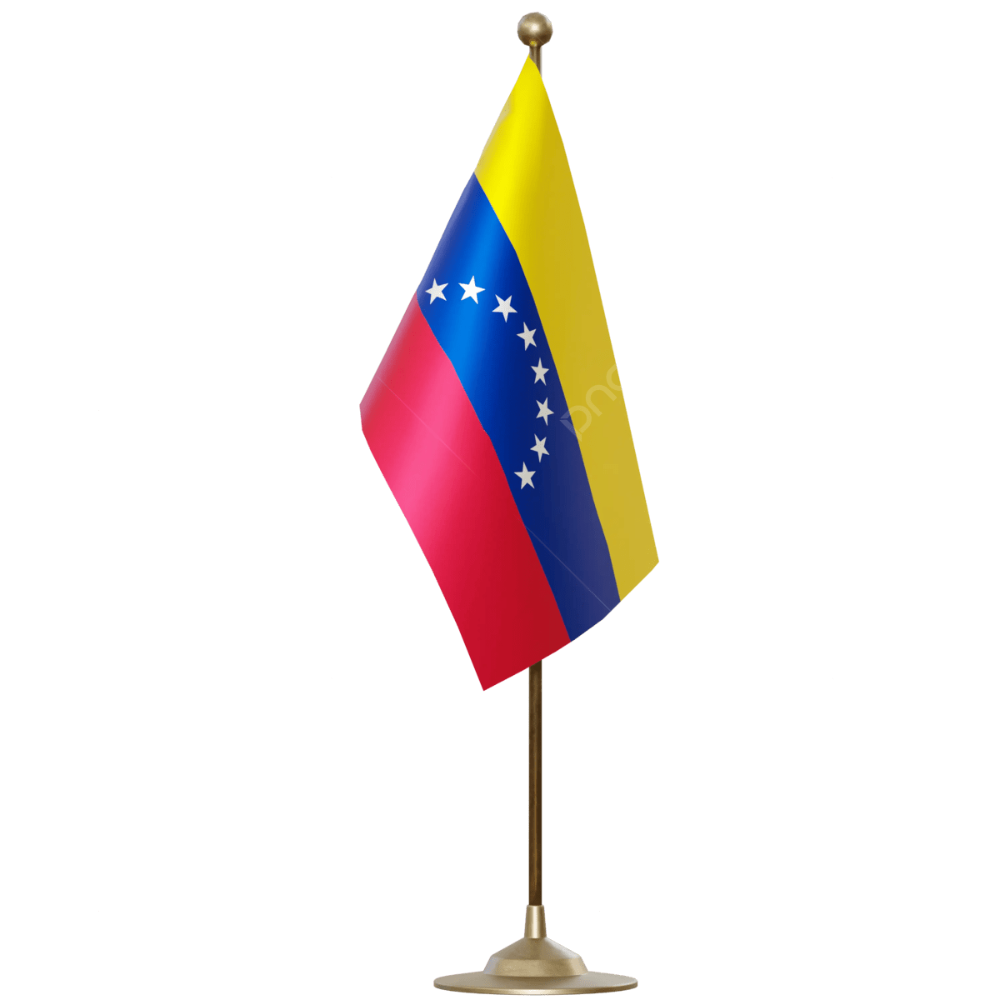 Bandera con Palo y Soporte