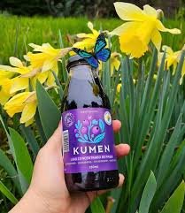 Jugo Concentrado de Maqui Kumen 250ml