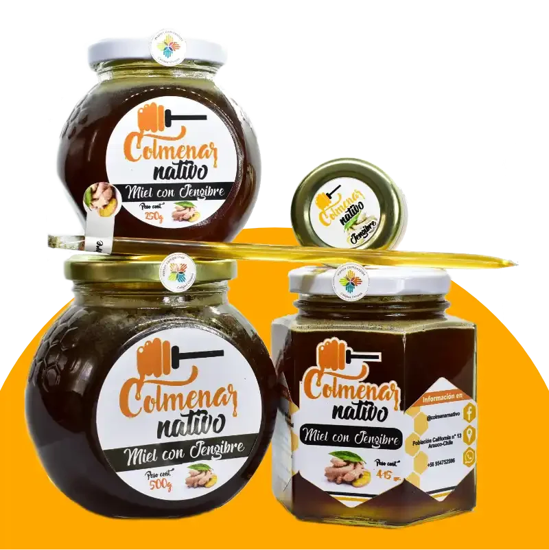 Miel con jengibre 415grs