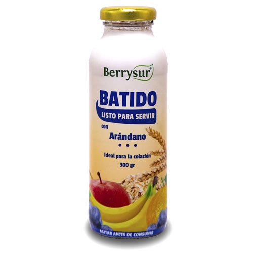 Batido Avena y Arándanos Berrysur 300ml