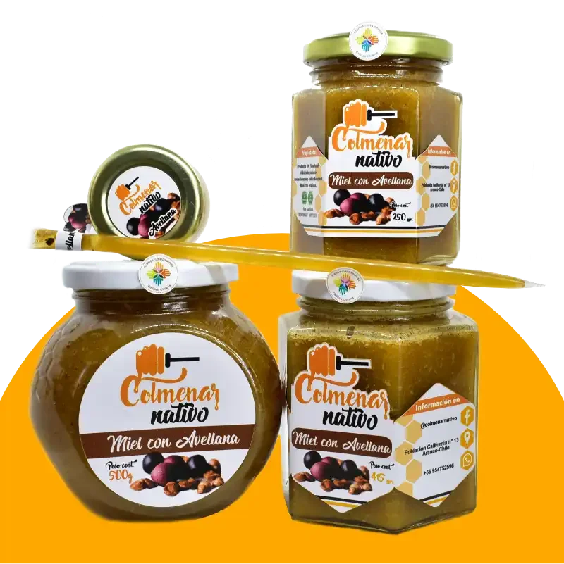 Miel con avellana 415grs