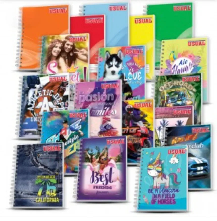 Cuaderno prof. Dobl espiral 200h USUAL pasta Dura
