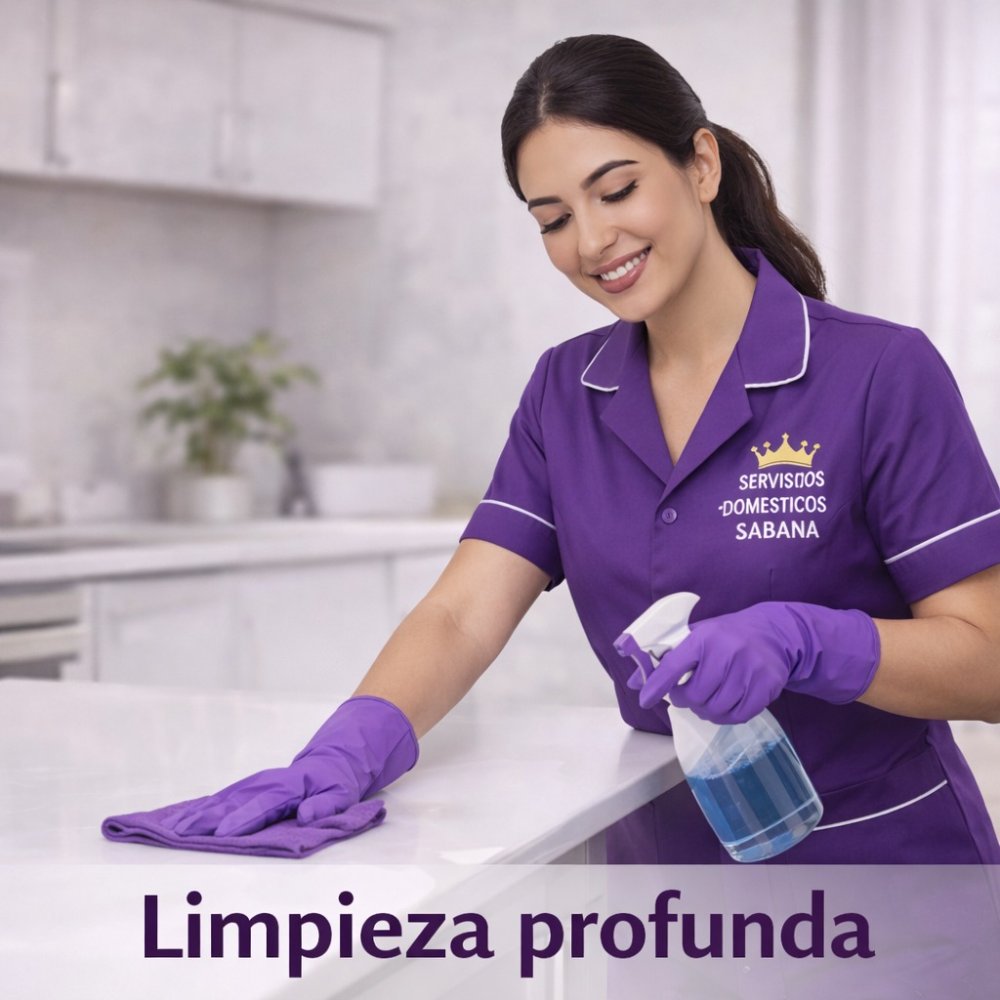 Servicio de Limpieza Profunda Pack X (8)