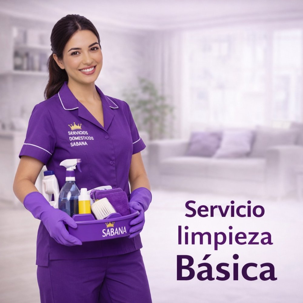 Limpieza Basica